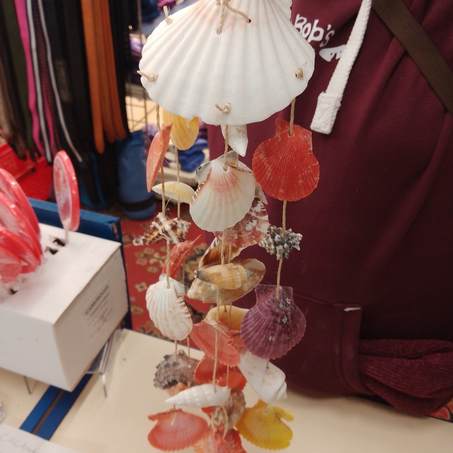 Scallop shell windchime