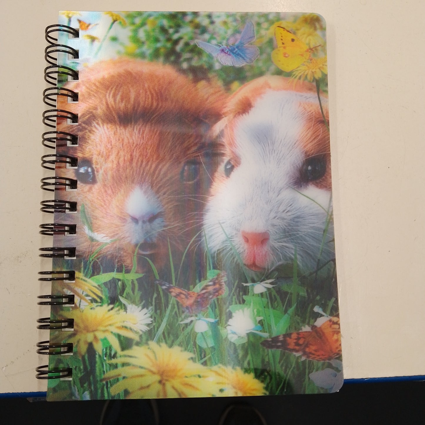 3D Jotter - Guinea Pigs