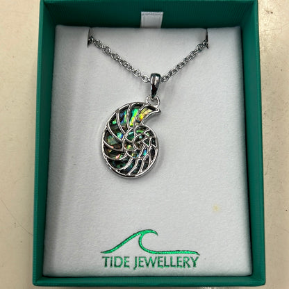 Paua Shell Ammonite Necklace