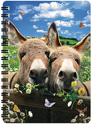 3D Jotter - Donkeys