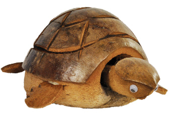 Coconut Nodding tortoise 2