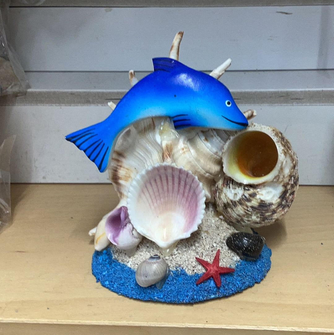 Shell dolphin scene