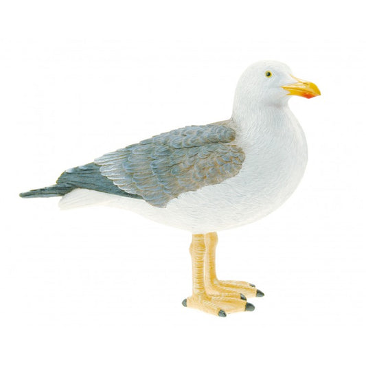 Seagull