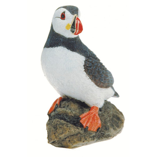 Puffin on rock