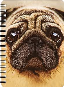 3D Jotter - Pug