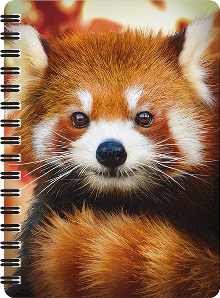 3D Jotter - Baby Red Panda