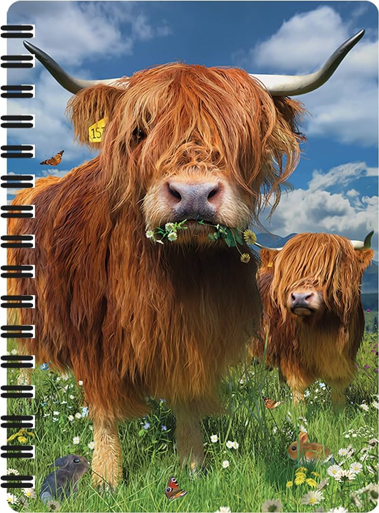 3D Jotter - Highland Cattle