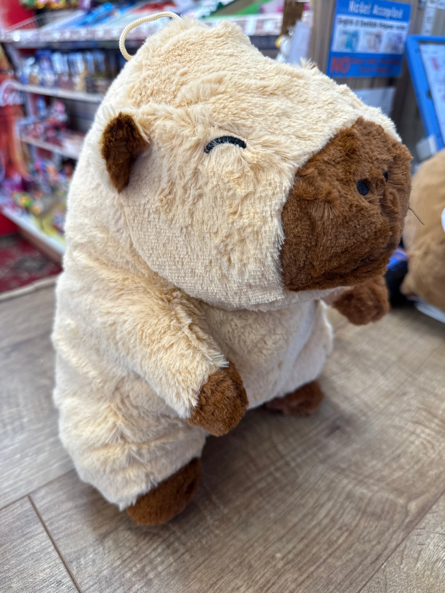 Plush Capybara 30cm
