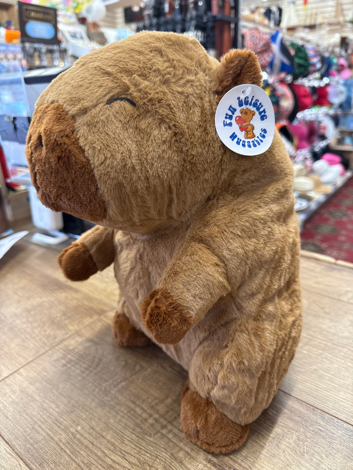 Plush Capybara 30cm