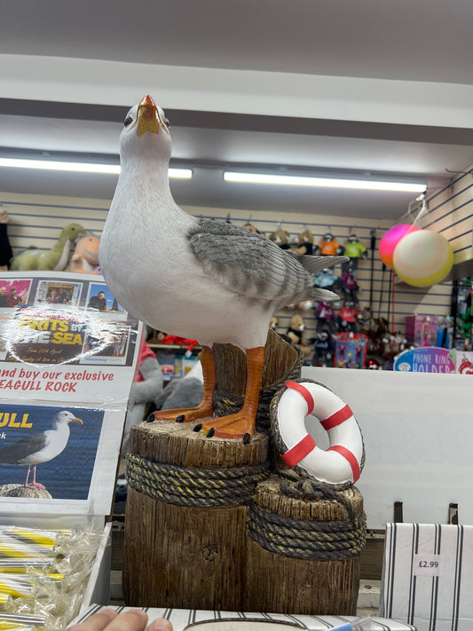 Large Seagull on Post