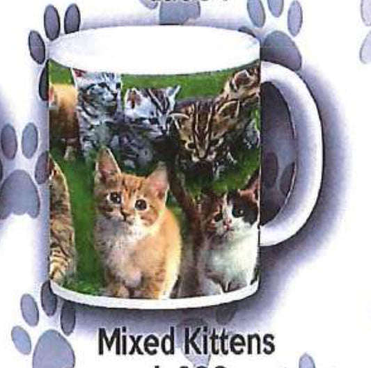 Cat Mug - Mixed Kittens