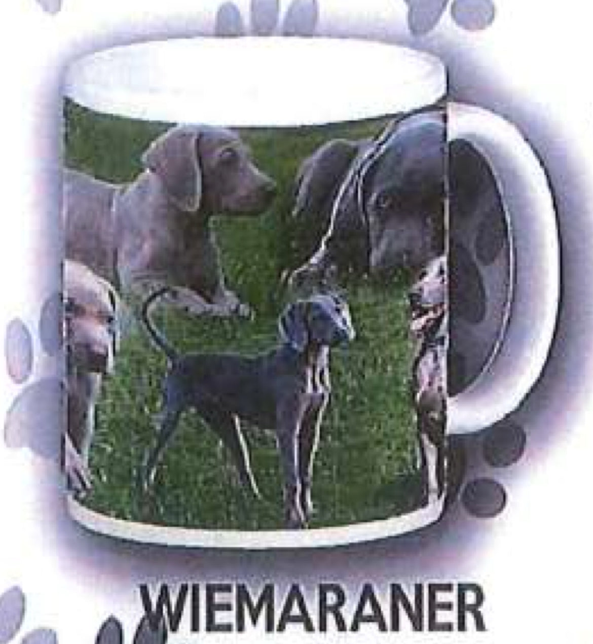 Dog Mug - Wiemaraner