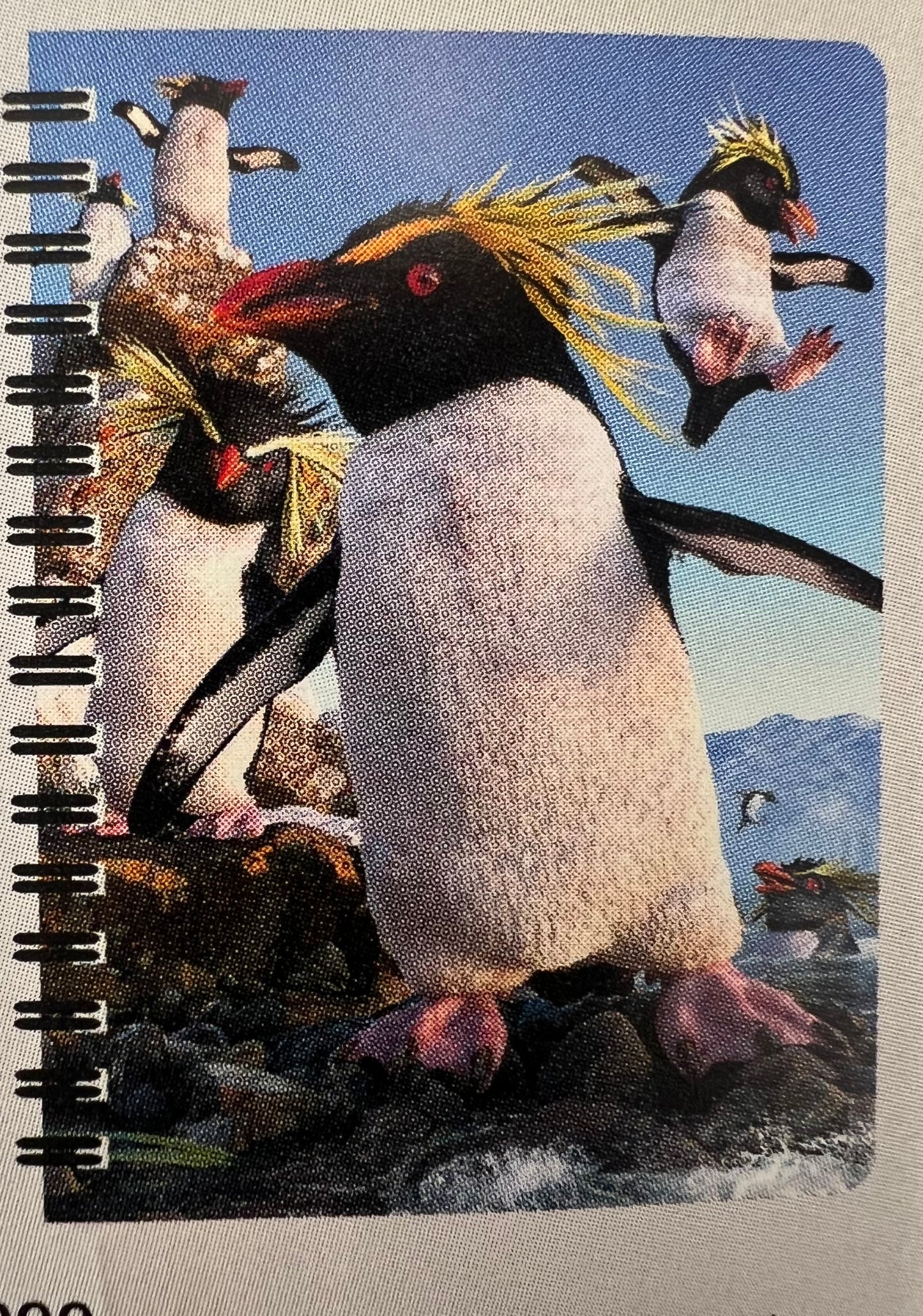 3D Jotter - Rockhoppers