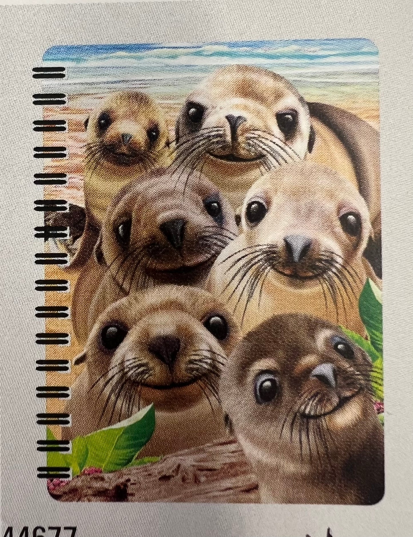 3D Jotter - Sealions