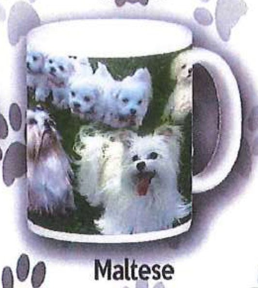 Dog Mug - Maltese