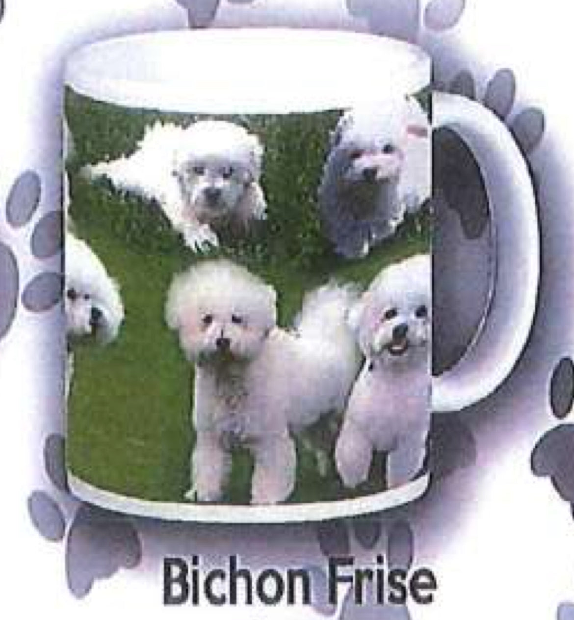 Dog Mug - Bichon Frise