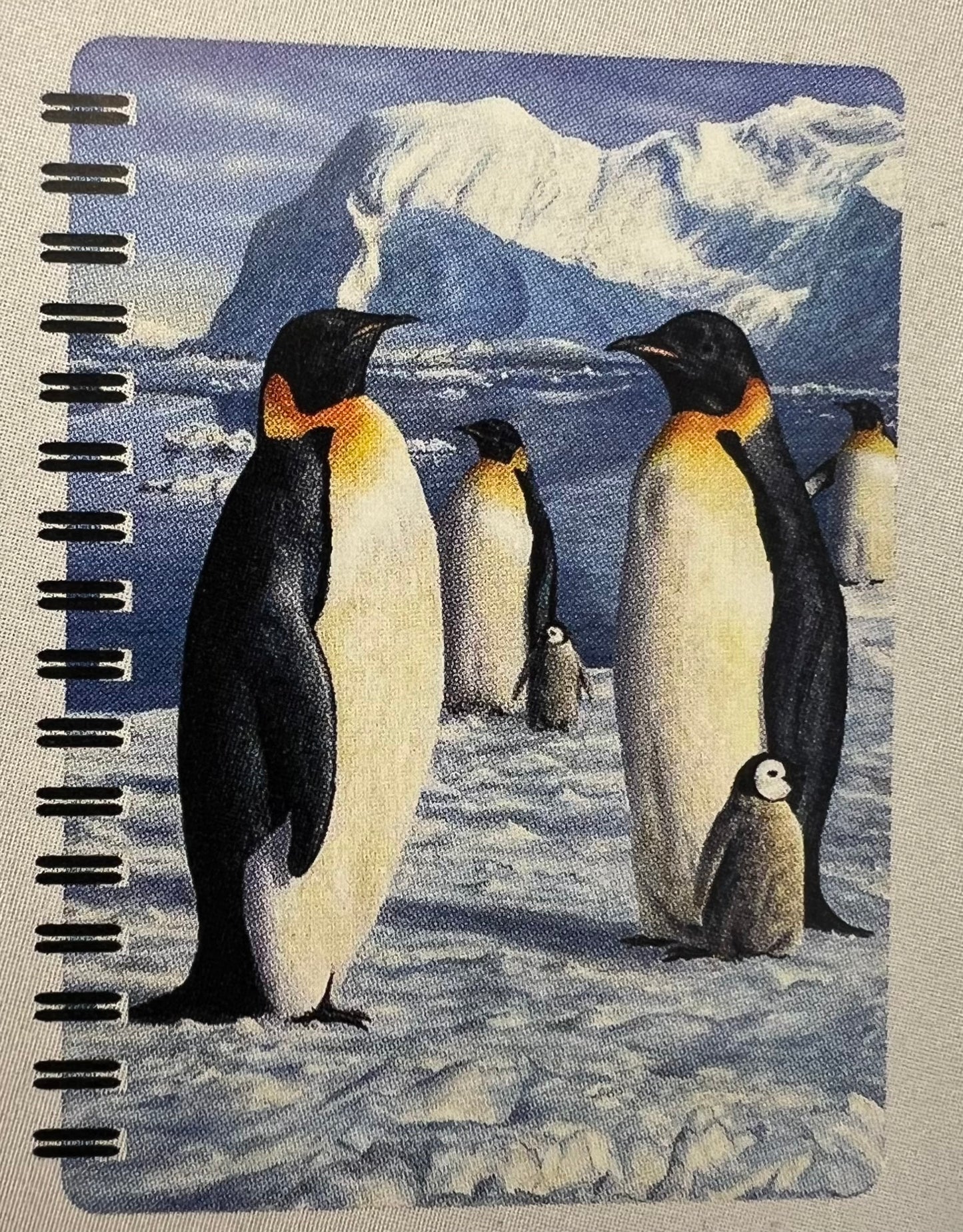 3D Jotter - Assorted Designs