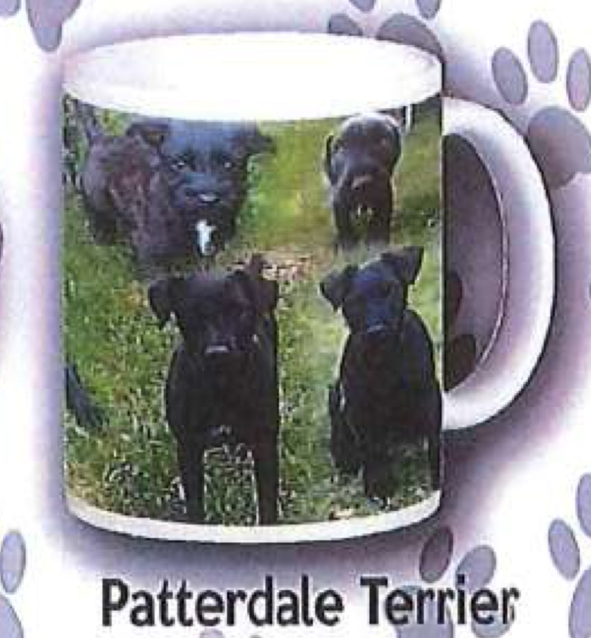 Dog Mug - Patterdale Terrier