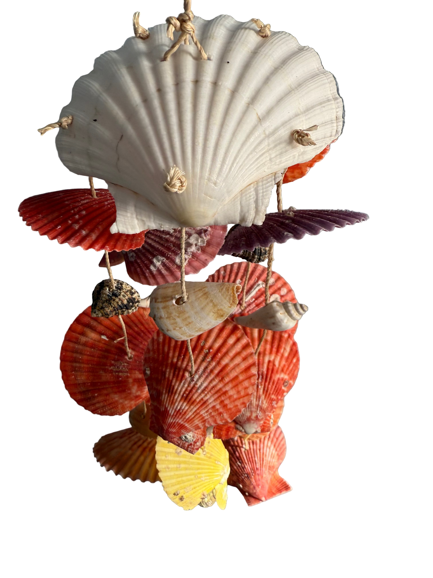 Scallop Shell Windchime