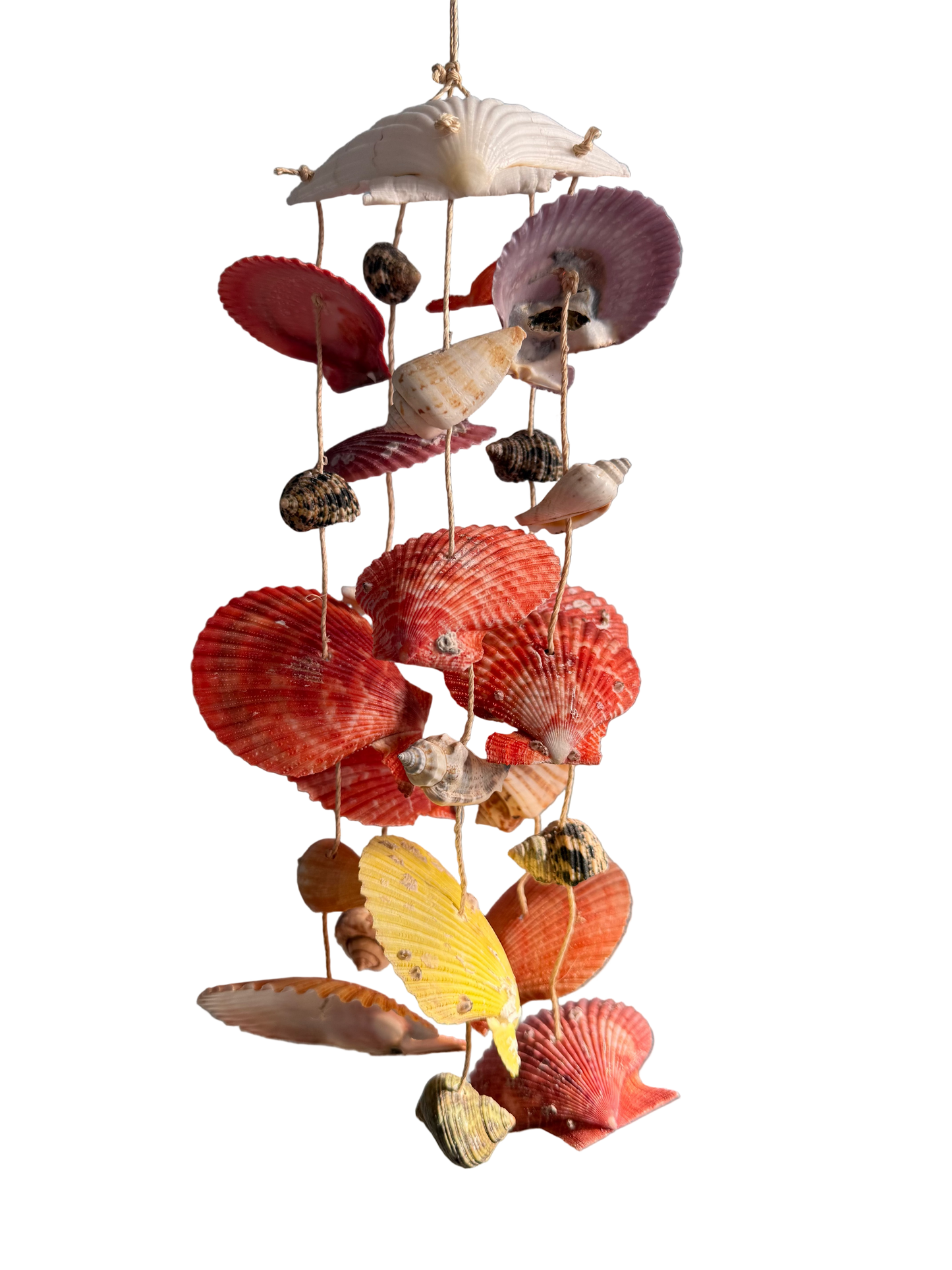 Decorative shell mobile hanging against a plain wall