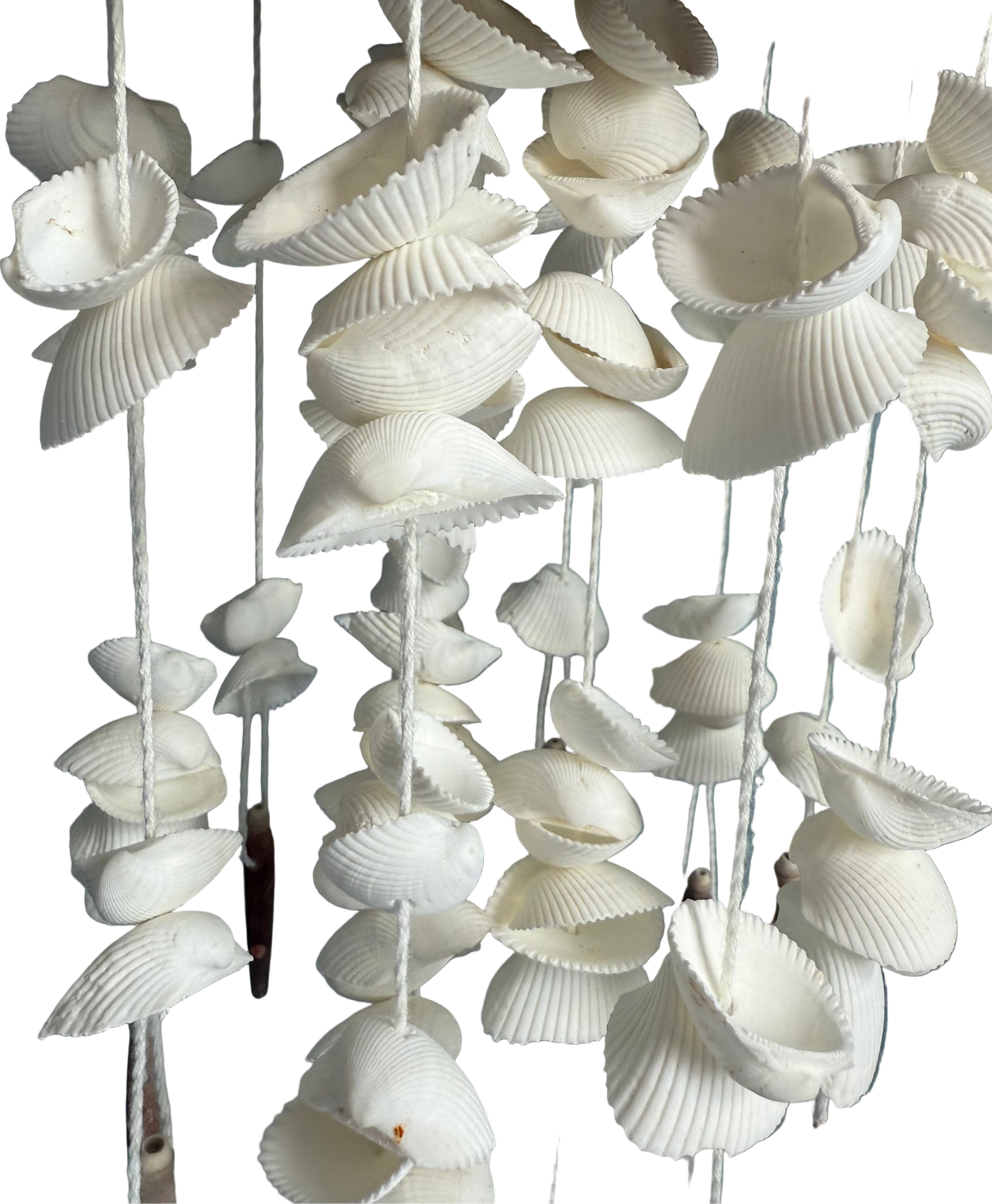 Coco Shell Windchime