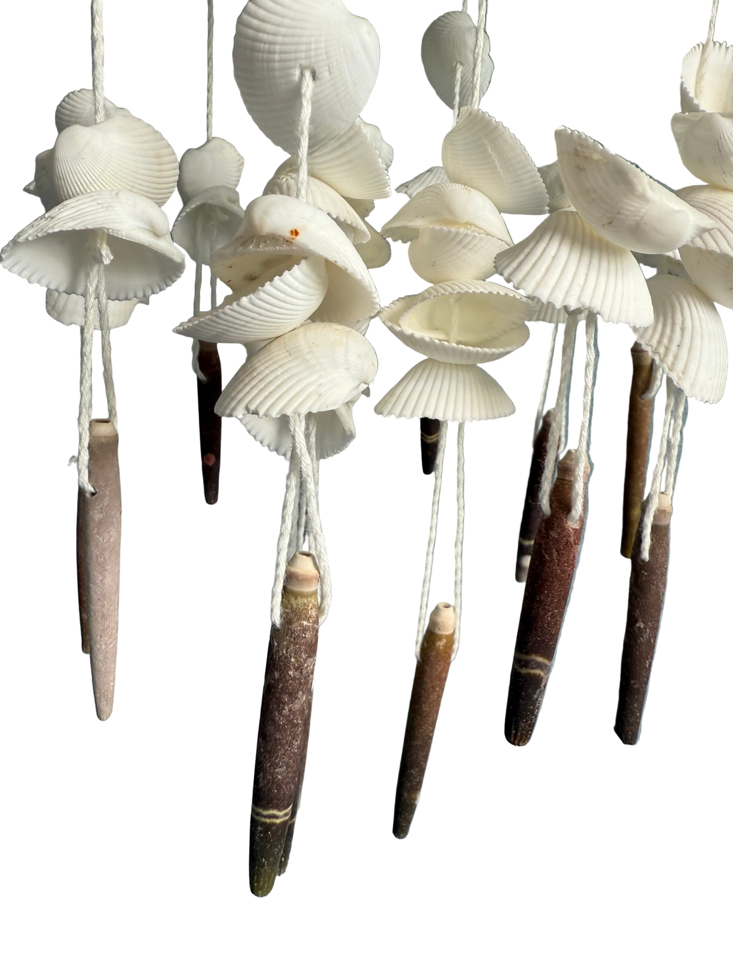 Coco Shell Windchime