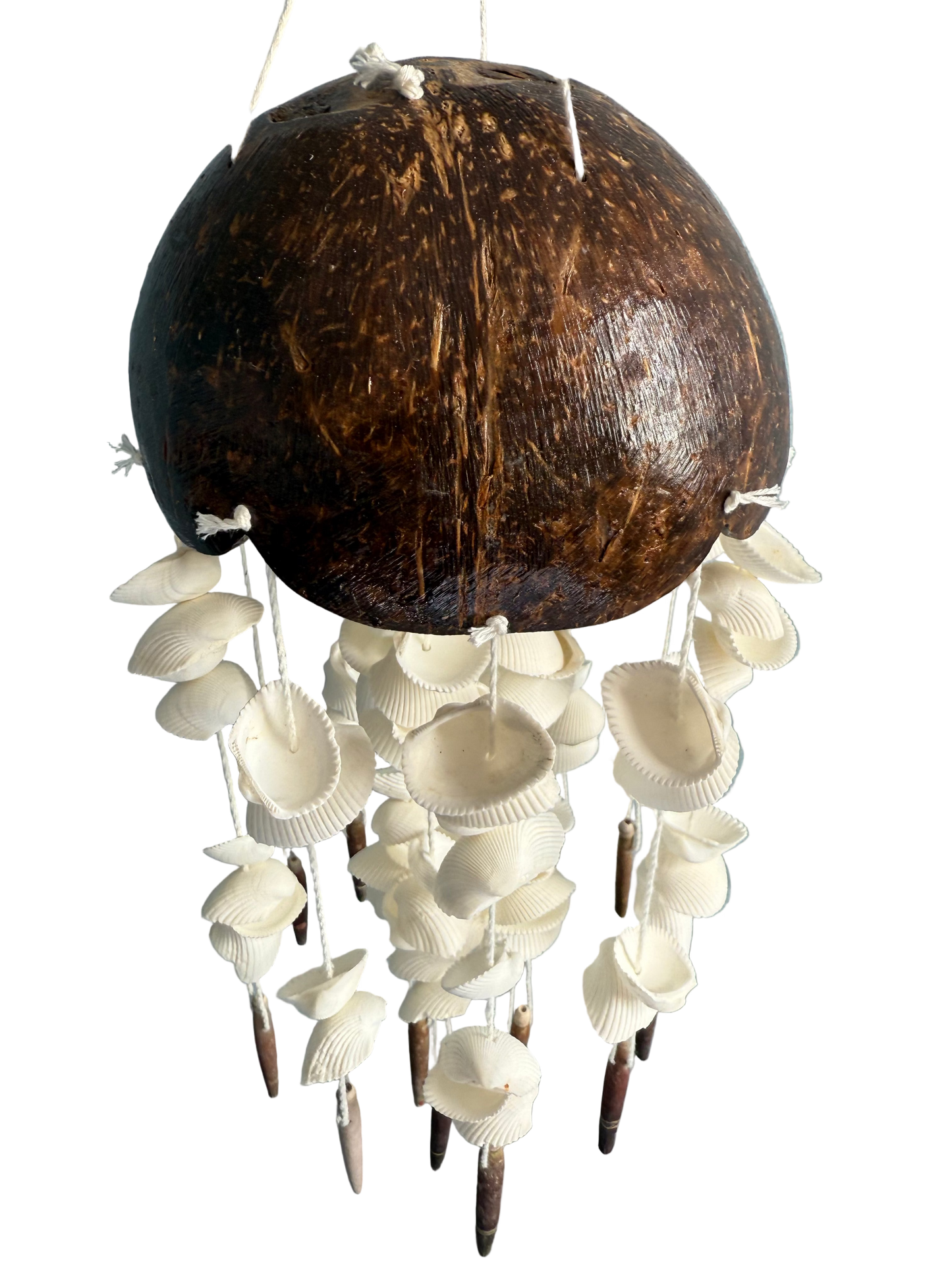 Coco Shell Windchime