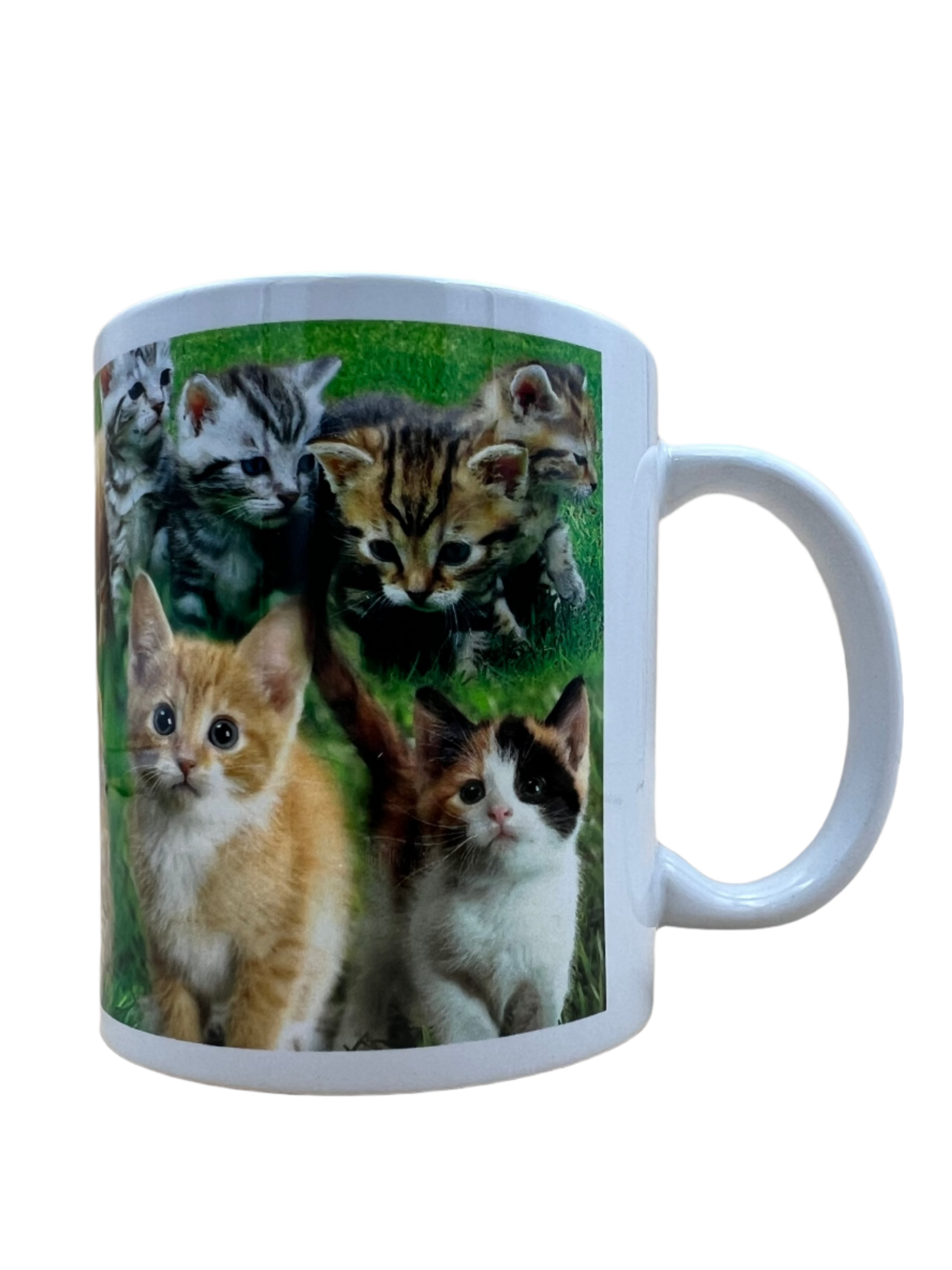 Cat Mug - Mixed Kittens