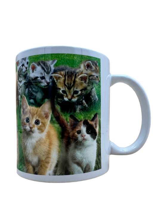 Cat Mug - Mixed Kittens