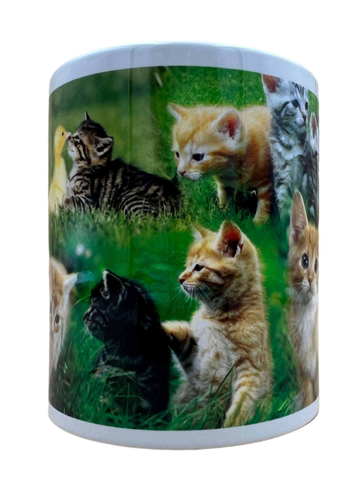 Cat Mug - Mixed Kittens