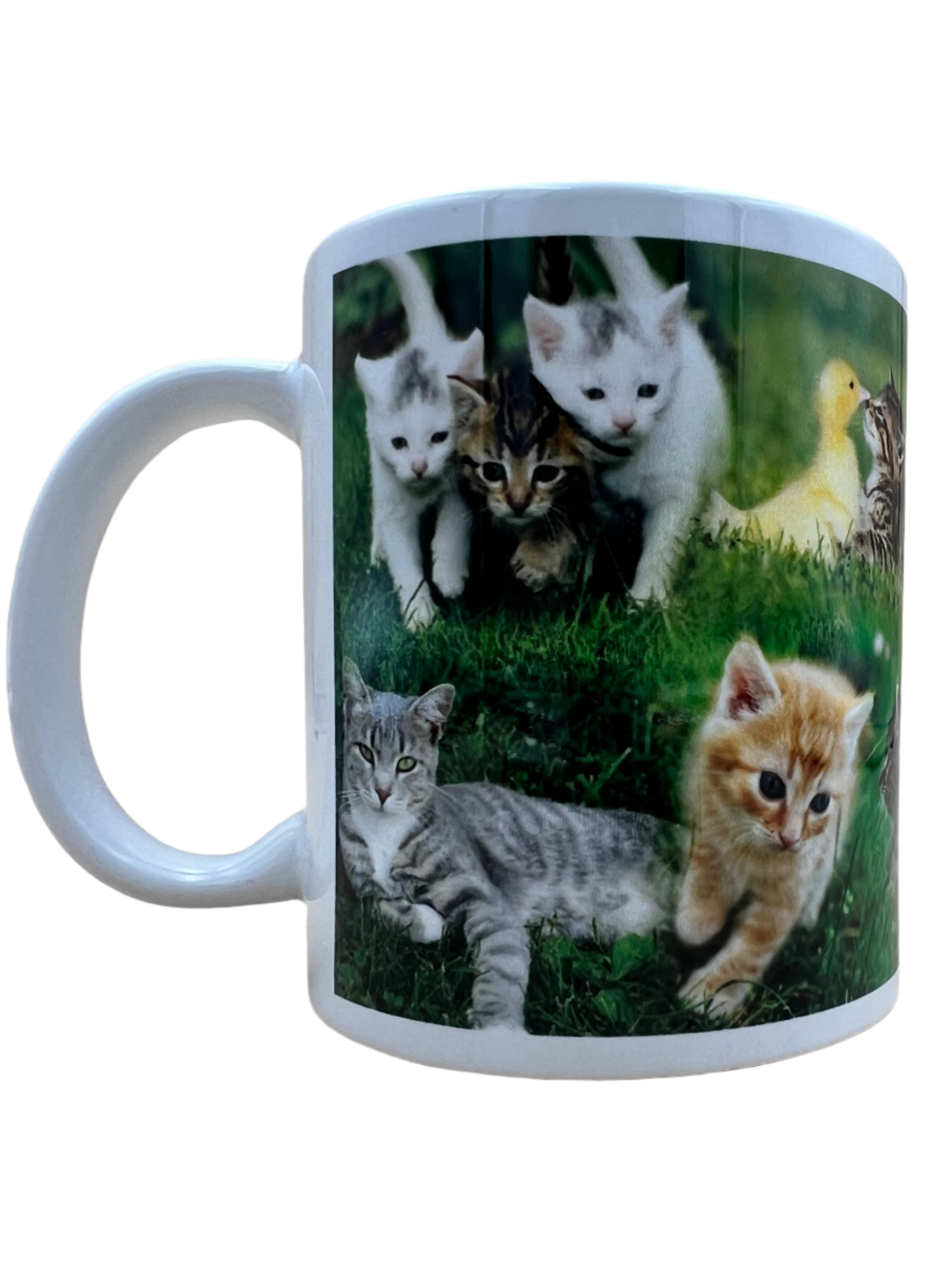 Cat Mug - Mixed Kittens