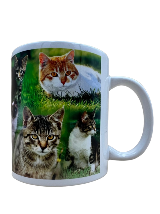 Cat Mug - Mixed Cats