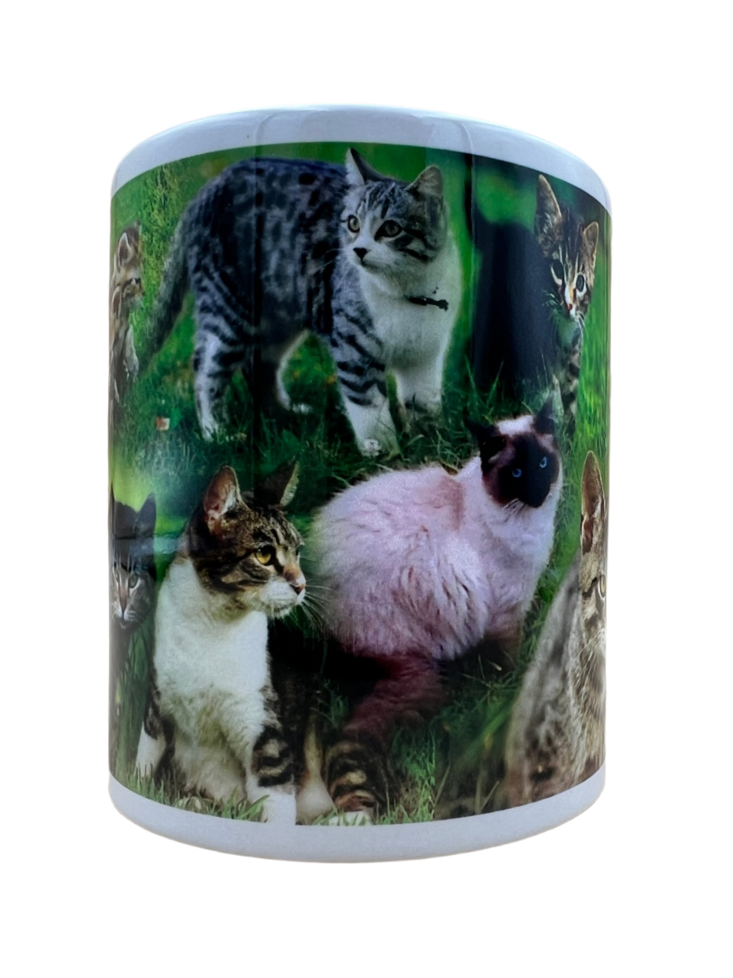 Cat Mug - Mixed Cats