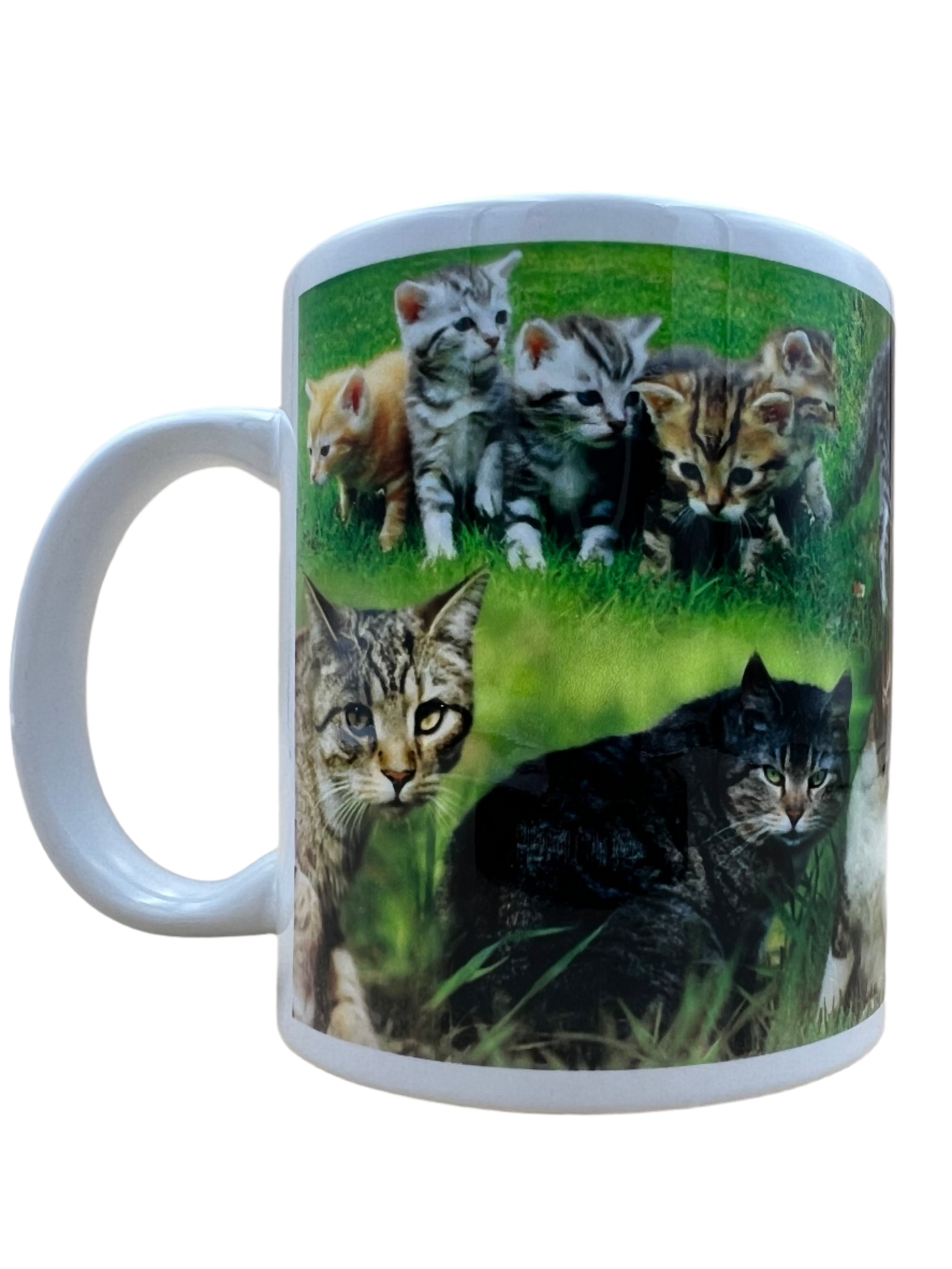 Cat Mug - Mixed Cats