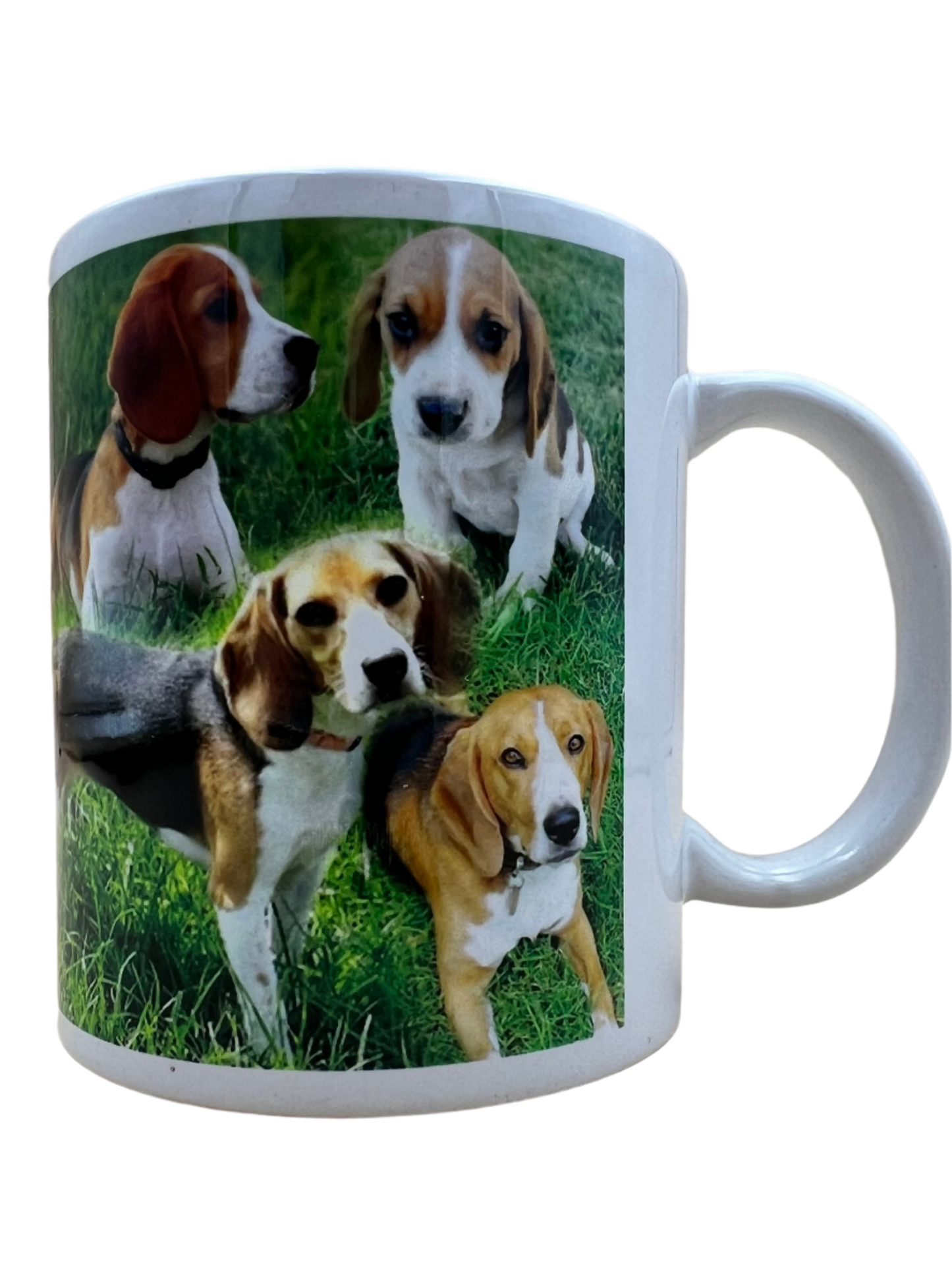 Dog Mug - Beagle