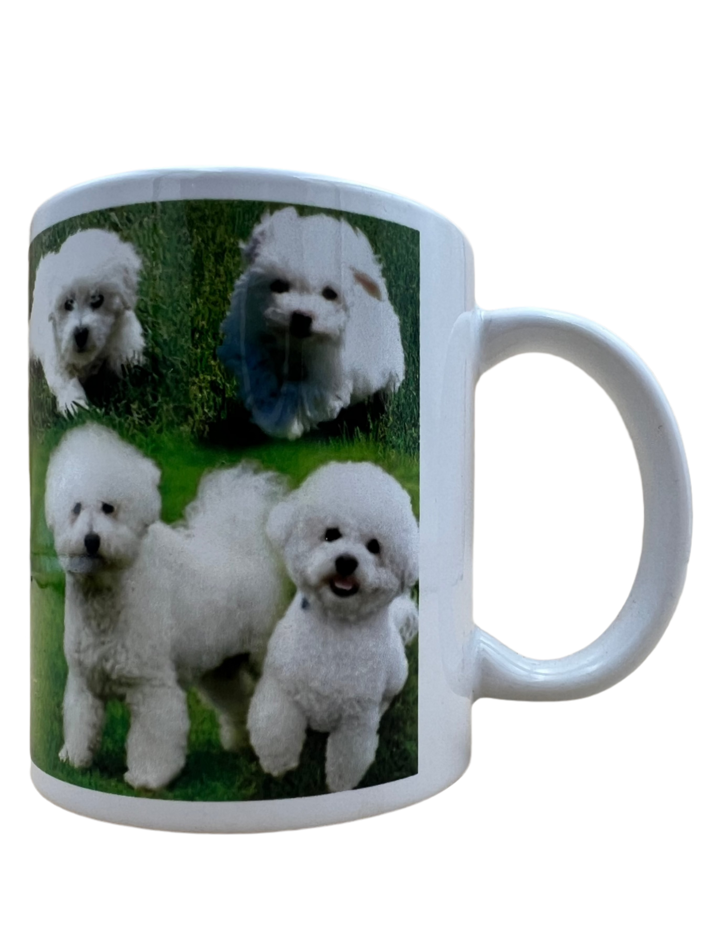 Dog Mug - Bichon Frise