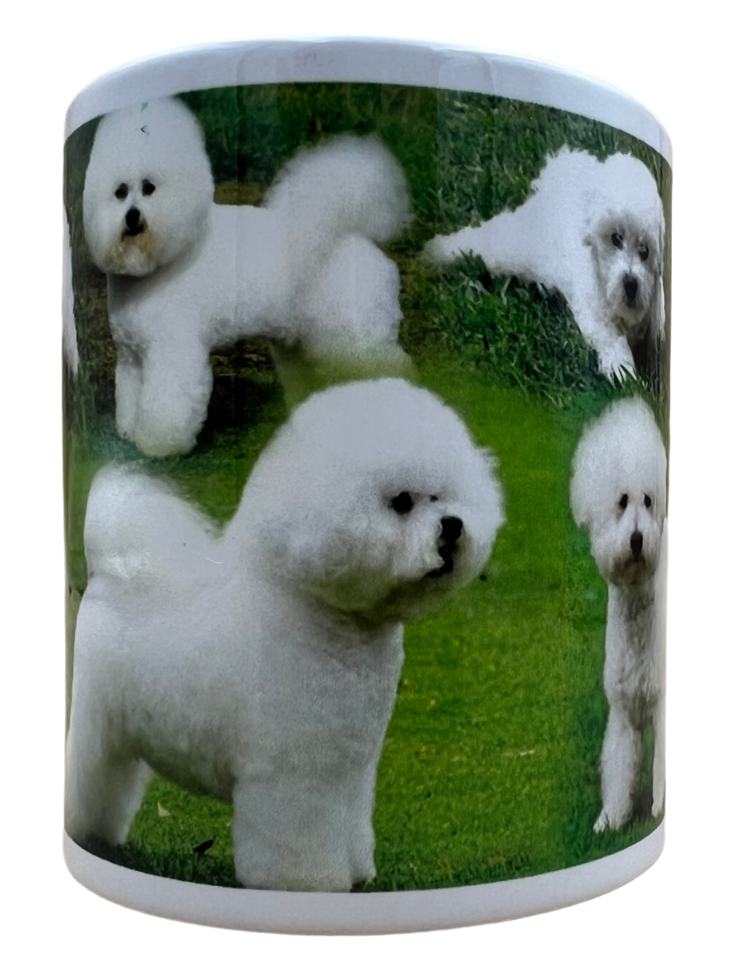 Dog Mug - Bichon Frise