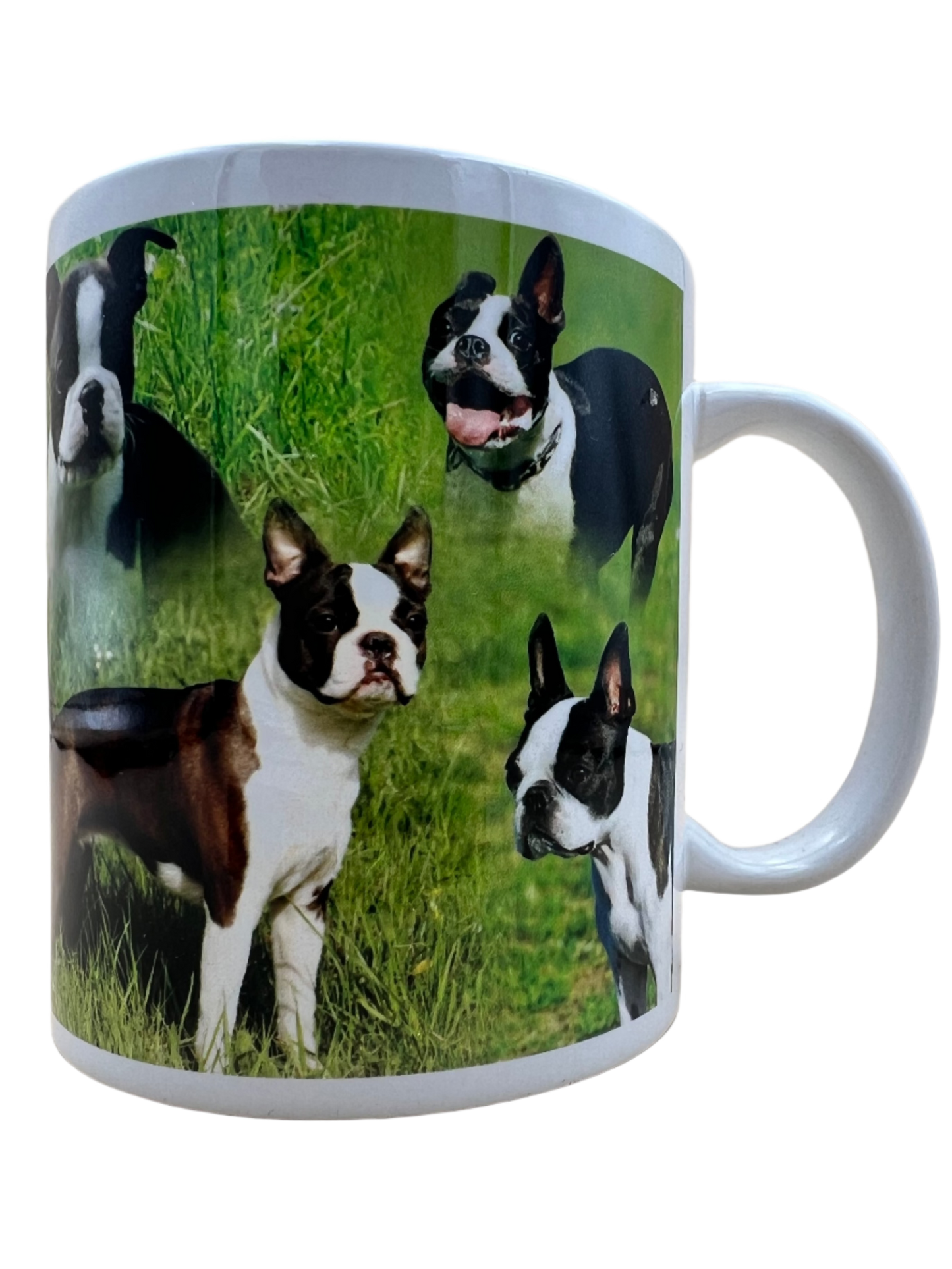 Dog Mug - Boston Terrier