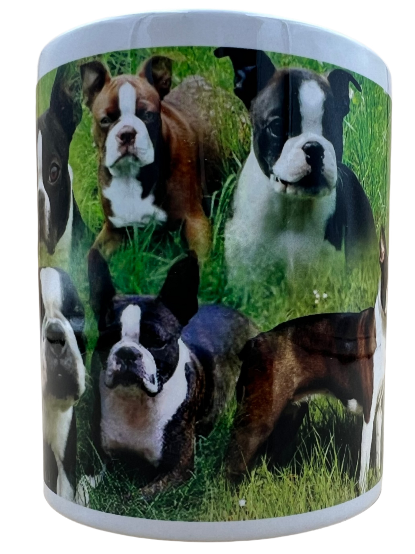 Dog Mug - Boston Terrier