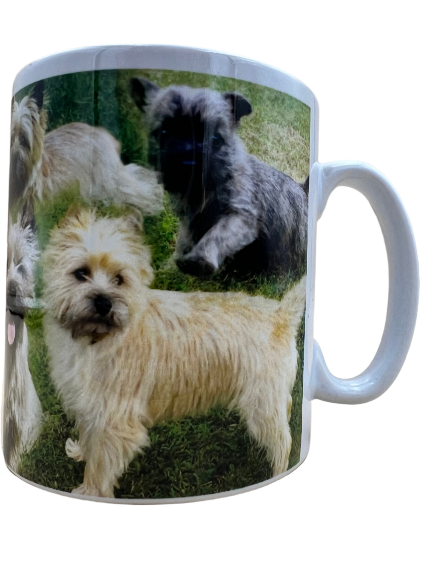 Dog Mug - Cairn Terrier