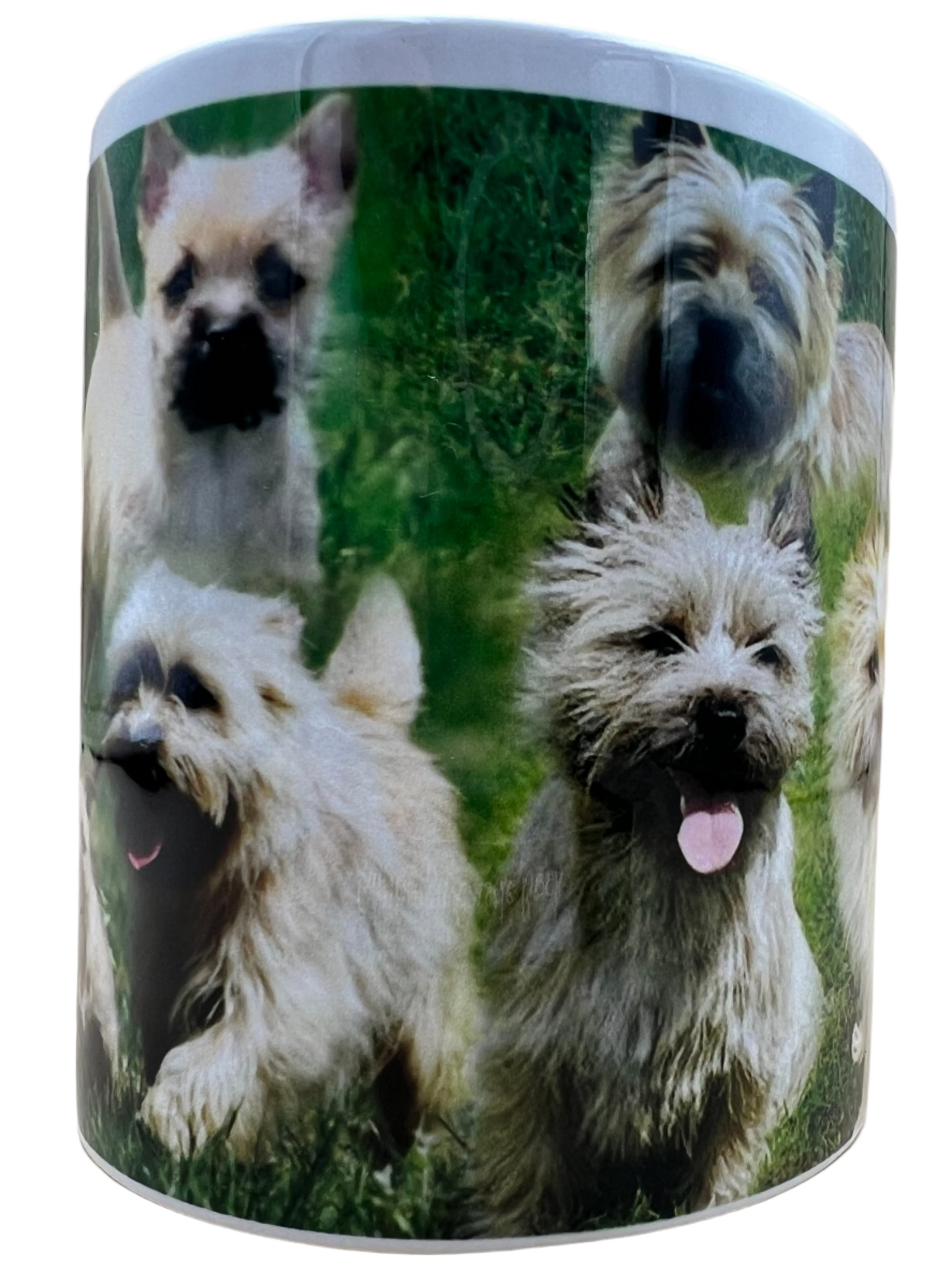 Dog Mug - Cairn Terrier