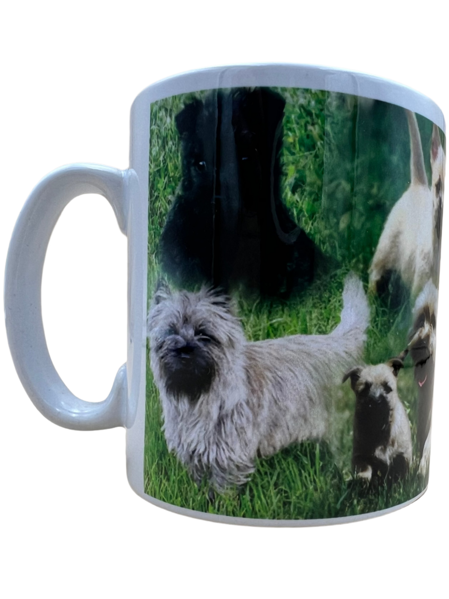 Dog Mug - Cairn Terrier