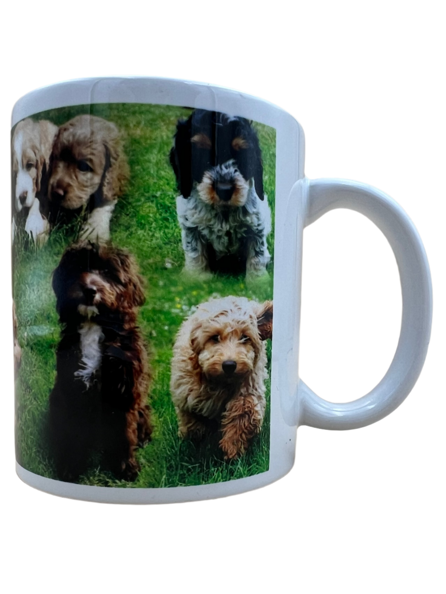 Dog Mug - Cockapoo