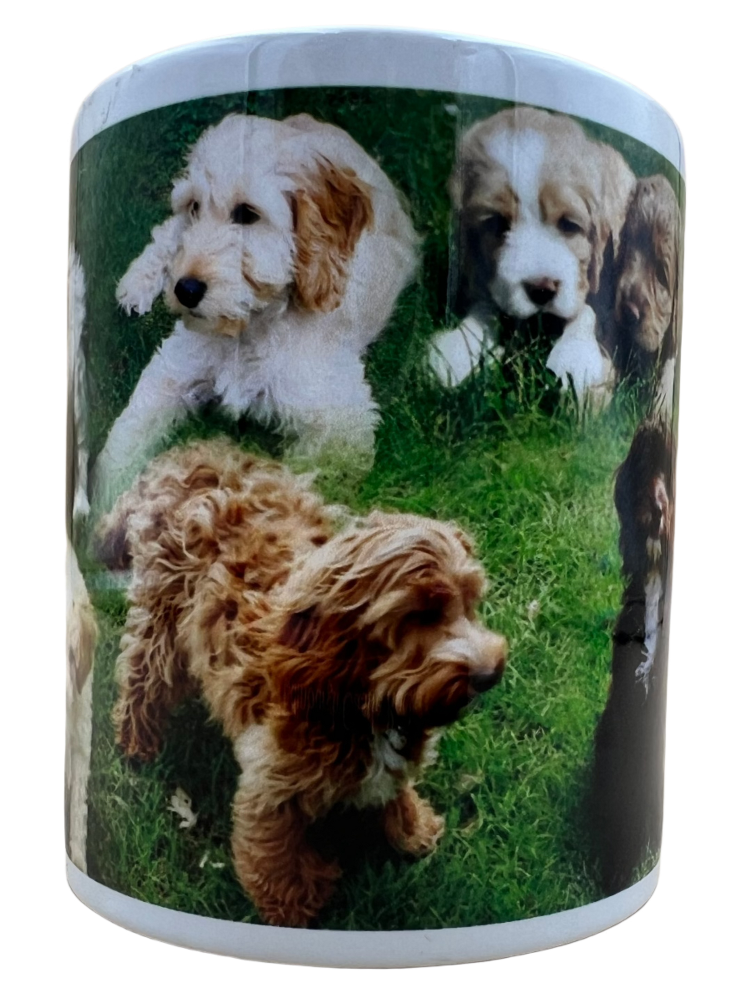 Dog Mug - Cockapoo