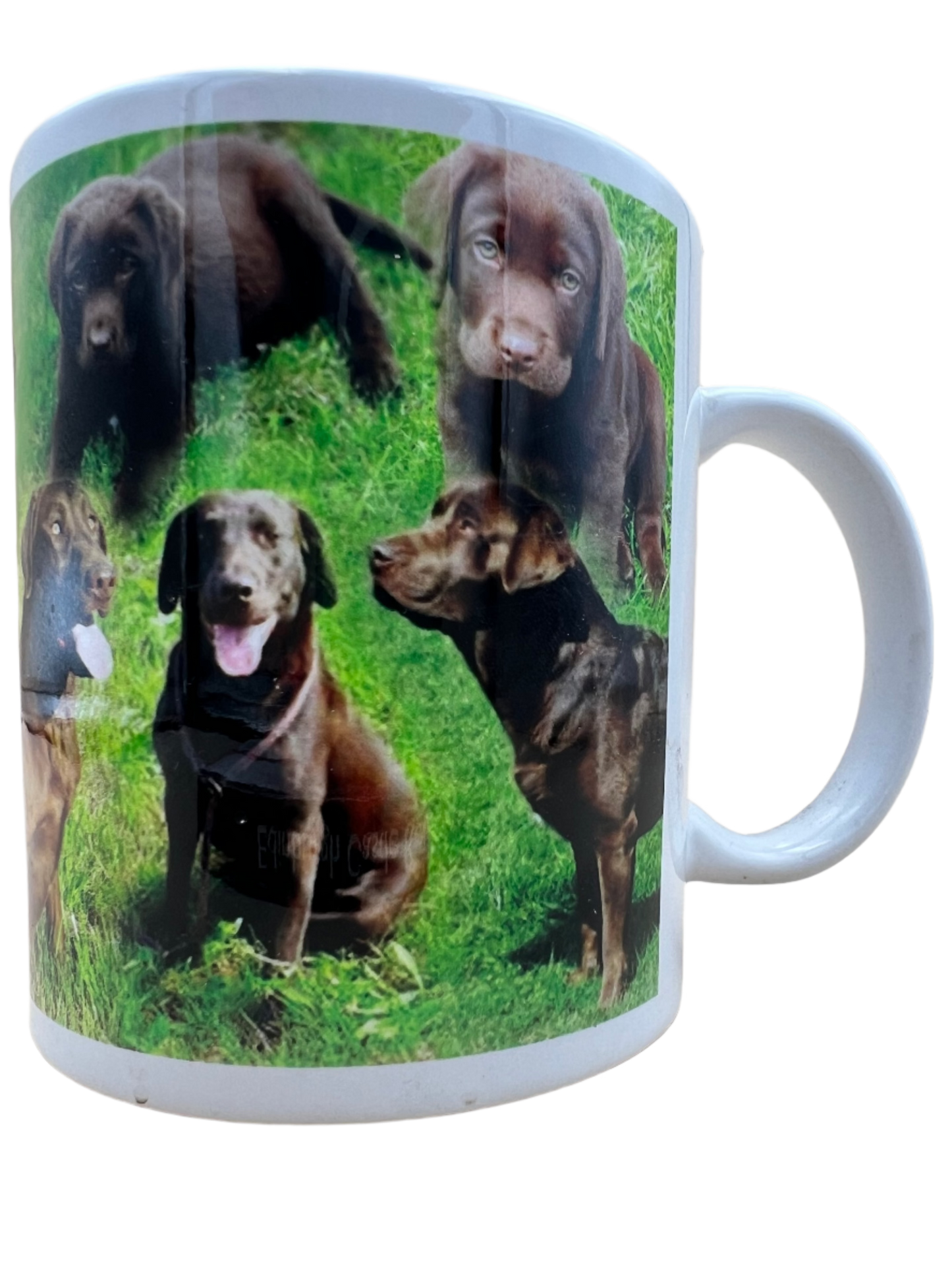 Dog Mug - Chocolate Labrador