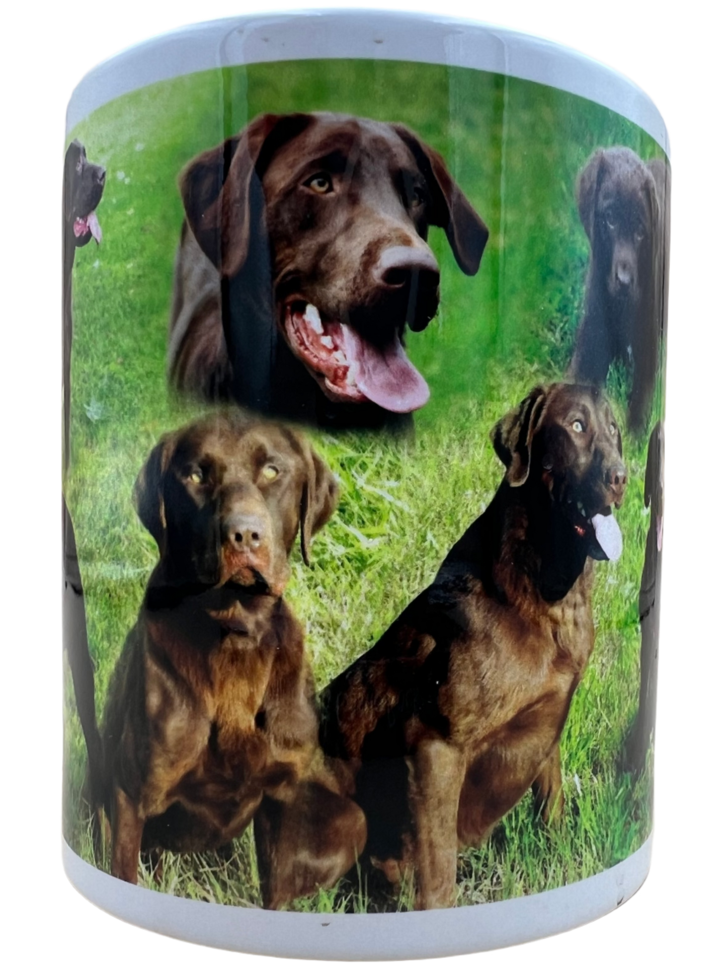 Dog Mug - Chocolate Labrador