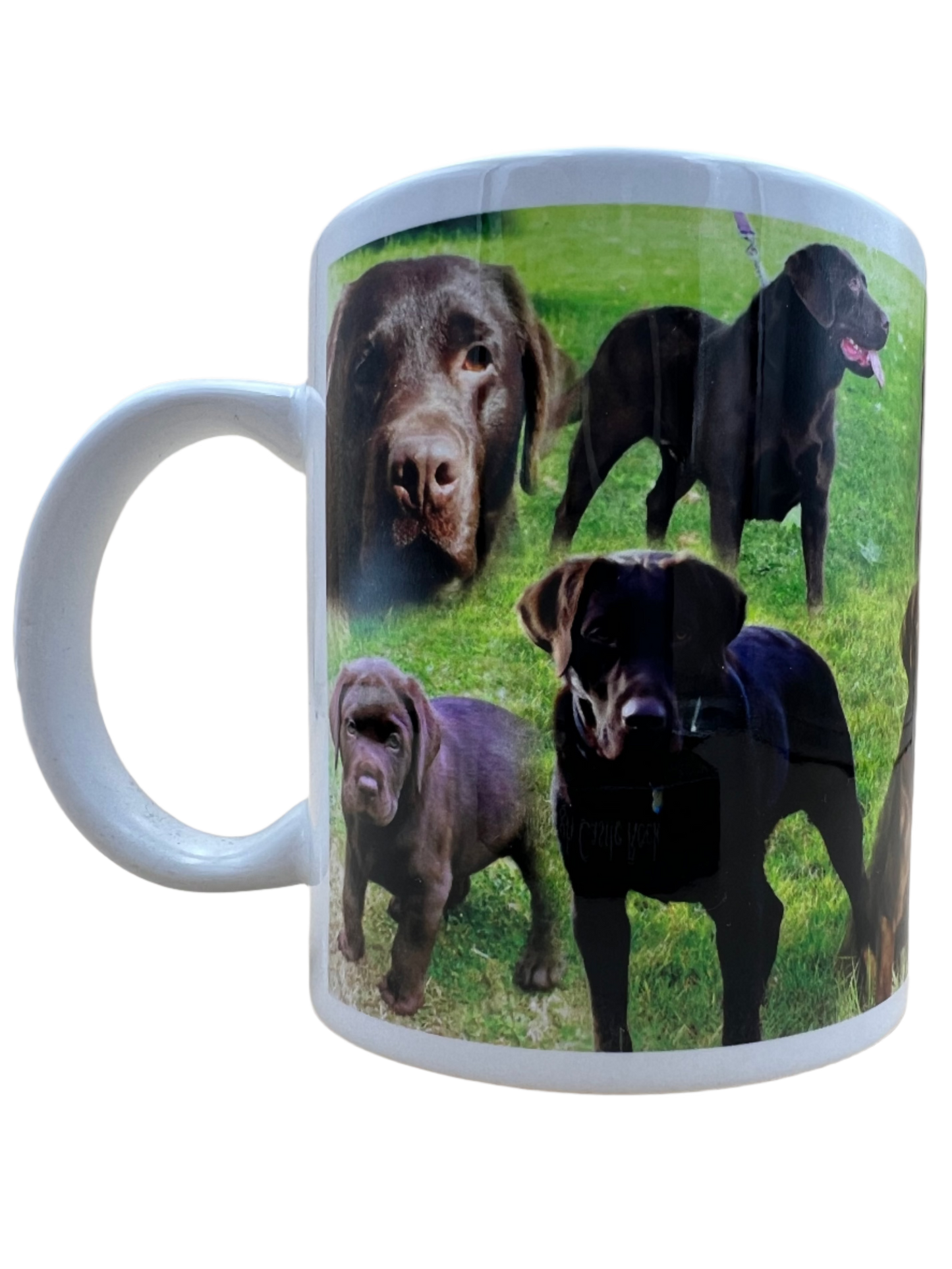 Dog Mug - Chocolate Labrador