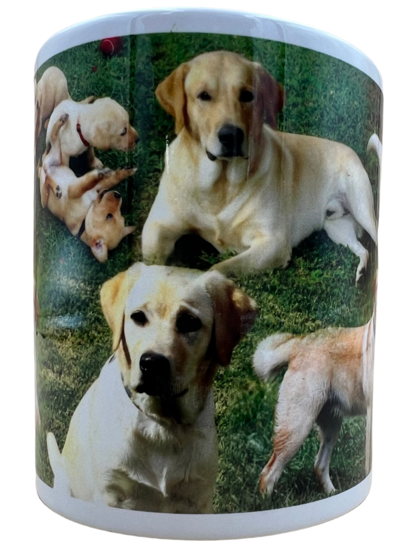 Dog Mug - Golden Labrador