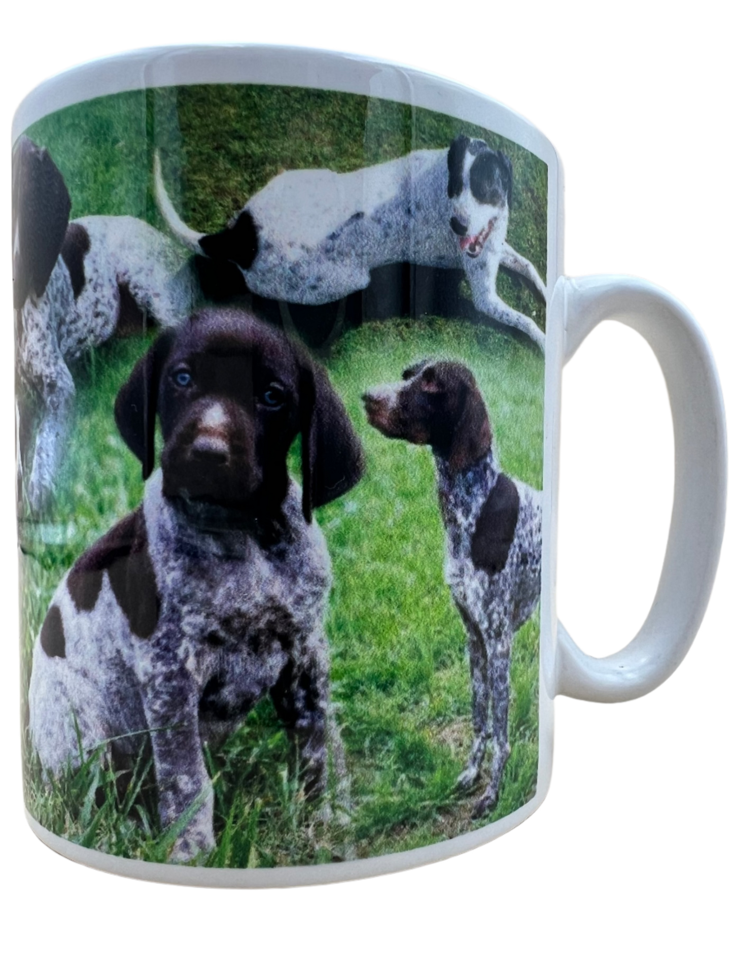 Dog Mug - Pointer