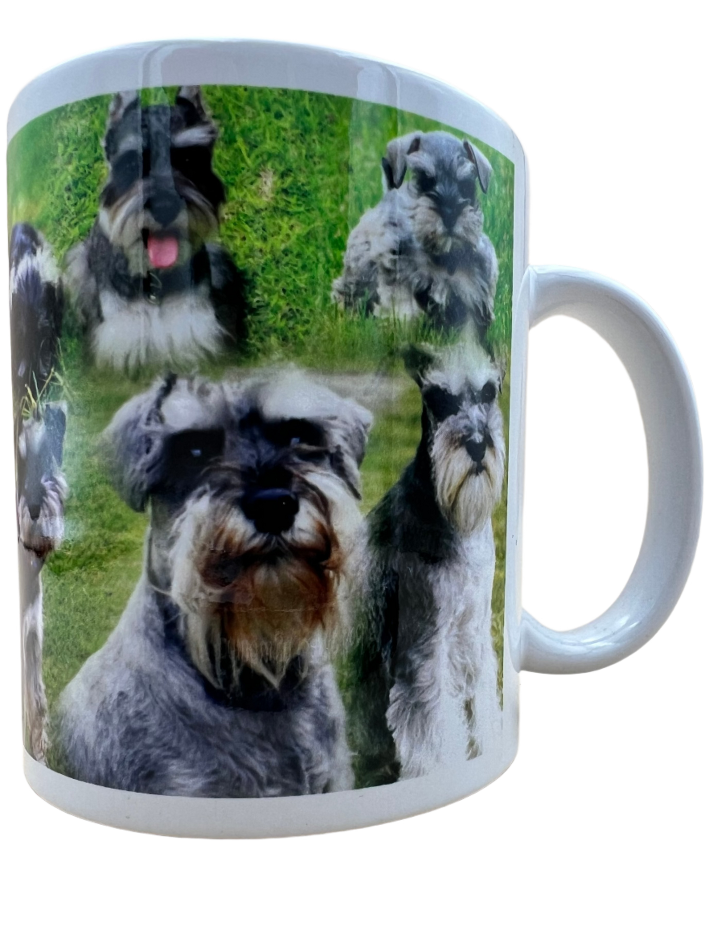 Dog Mug - Schnauzer